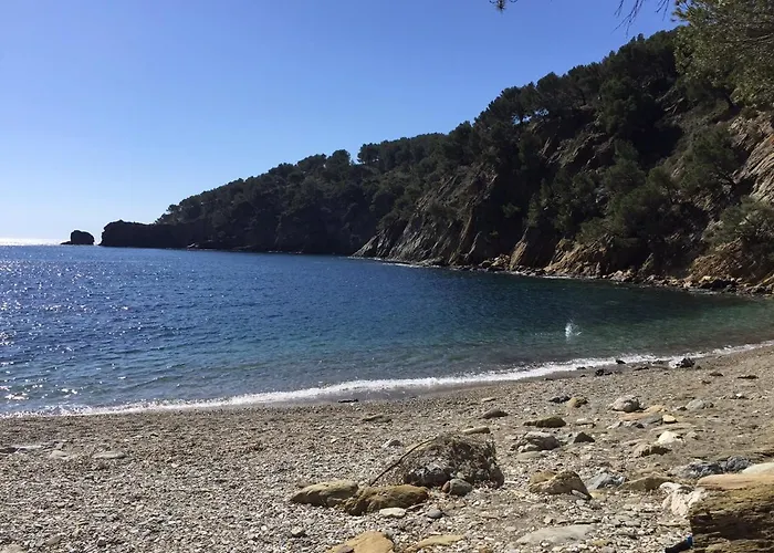Far Bay *
